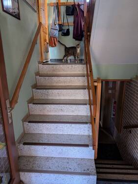 Treppe wohnung u. Keller.jpg - 