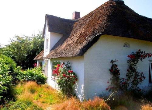 Herbstatmosphäre - SYLTNÄHE ! Großes Eck-Grundstück mit Altbestand sucht neuen Eigentümer