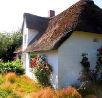 SYLTNÄHE ! Großes Eck-Grundstück mit Altbestand sucht neuen Eigentümer - Niebüll