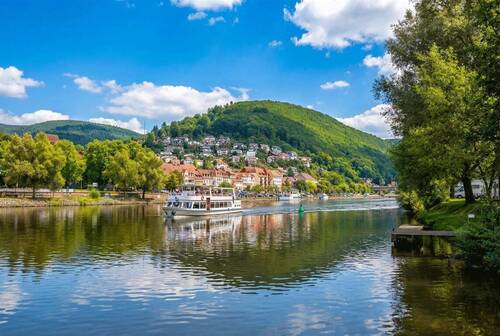 Eberbach am Neckar - Grundstück zum Kaufen in Eberbach