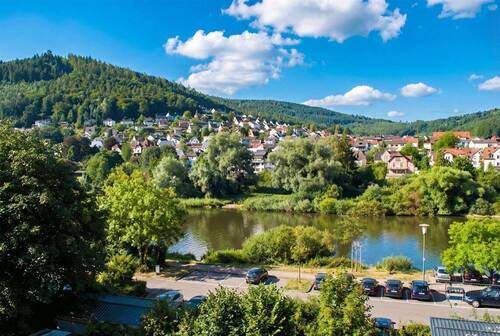 Naturpark Neckartal-Odenwald - Grundstück in Eberbach