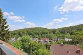 Traumhafte Aussicht ins Grüne - 