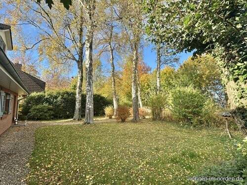 Blick in den nordöstlichen Garten - 