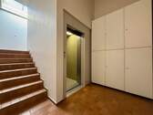 Treppenhaus und Aufzug (halbe Treppe zur Wohnung) - Etagenwohnung mit 77,50 m&sup2; in Kiel zum Kaufen