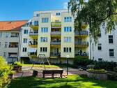 IMG_2546 - 
