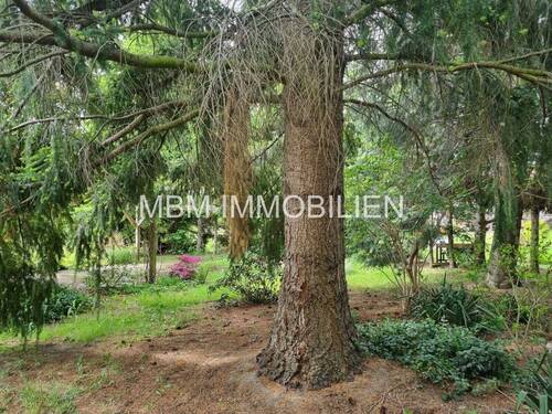 Bild 9 - 