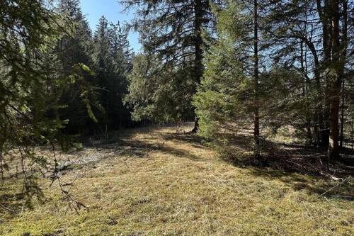 Freifläche im Süden - 