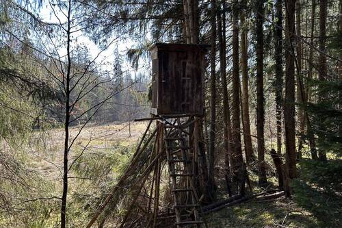Hochsitz in Südecke - 