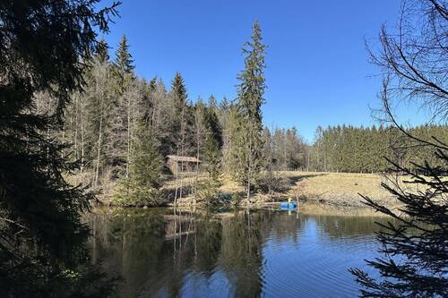 Blick auf den See von Süden - 