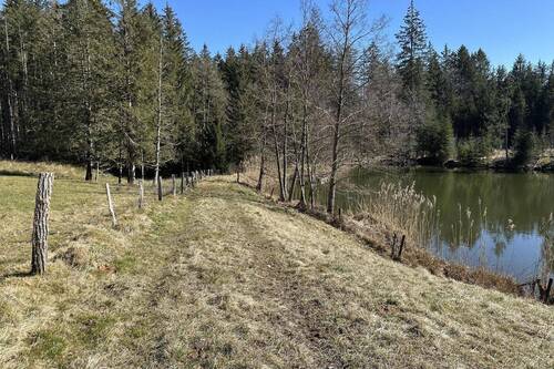 Privatweg auf der Nordseite - 