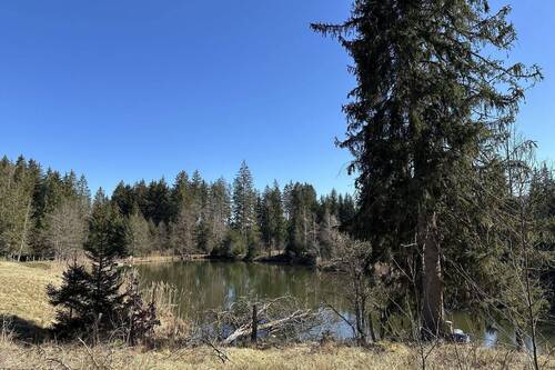 Blick auf den See - Grundstück in Dießen