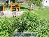 Garten - Einfamilienhaus mit 105,00 m&sup2; in Neumühle/Elster zum Kaufen
