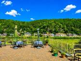 Terrasse - 