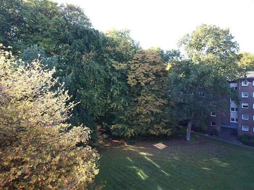 Ausblick Loggia - 1 Zimmer Etagenwohnung zum Kaufen in Ahrensburg