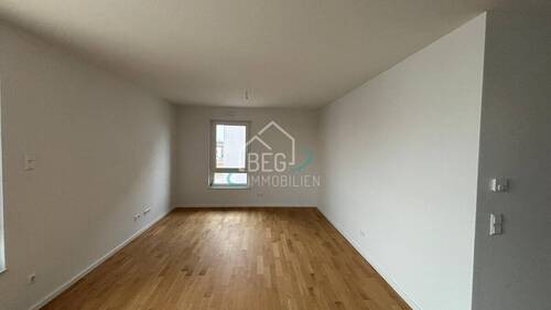 Zimmer - 