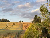 Bild 7 - 