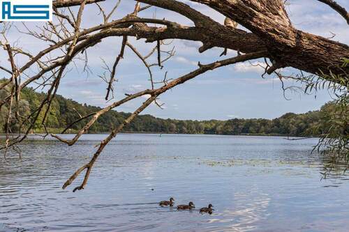 Griebnitzsee, Blick auf andere Uferseite - Terrassenwohnung mit 150,20 m&sup2; in Potsdam zum Kaufen