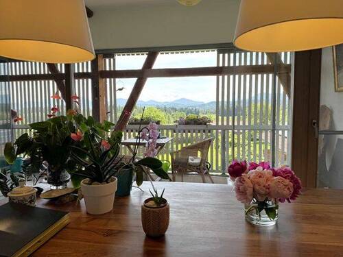Blick ins Freie - 