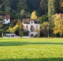 Gründerzeit 4-FamHs + Fabrik-Loft + ideal f. Käufer-Gruppe + 405qm WNF + 528qm GS + Gartenhs + Paradiesgarten + teilbar in Teileigentum - Freiburg im Breisgau Günterstal