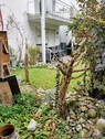 Bild 7 - 