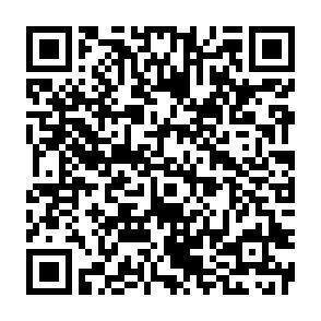 QR-Code - 