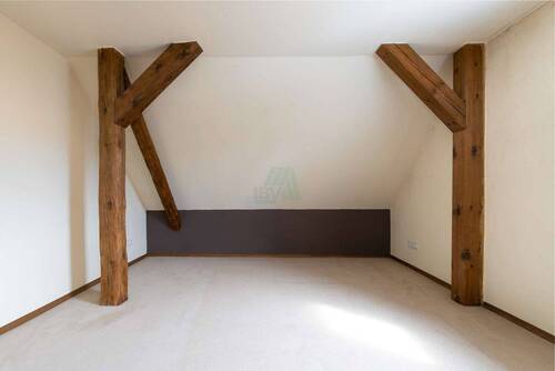 Zimmer DG - 
