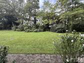 IMG_0529 - 