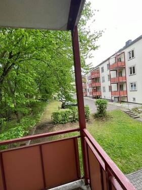 IMG_5180.jpeg - 
