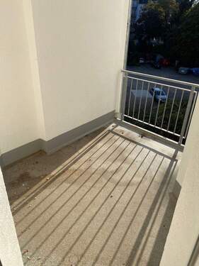 IMG_3523.jpeg - 