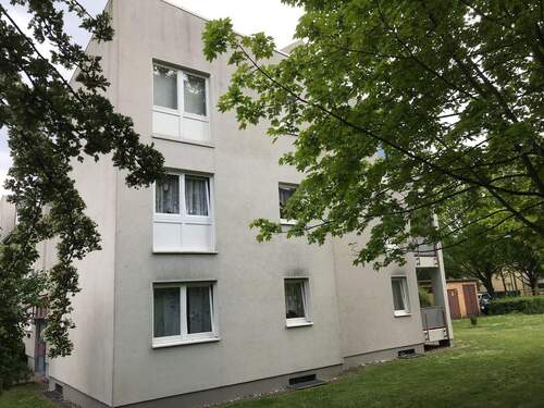 Lindenallee 19: Außenansicht über die Grünanlage auf den Eingangsbereich eines, in zweiter Reihe, errichteten Wohngebäudes. - Großzügige 3-Zimmerwohnung in ruhiger Lage in Baunatal-Baunsberg