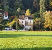 Gründerzeit 4-FamHs + Fabrik-Loft + ideal f. Käufer-Gruppe + 405qm WNF + 528qm GS + Gartenhs + Paradiesgarten + teilbar in Teileigentum - Freiburg im Breisgau Günterstal