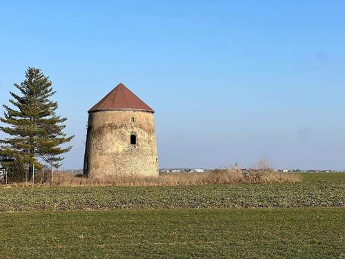 Bild 3 - 5 Zimmer Einfamilienhaus in Großenhain