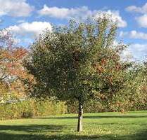 Wo das Land ruft und die Stadt nah ist – Ihr Platz zum Ankommen zwischen Meißen und Dresden! - Klipphausen Gauernitz