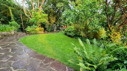 Blick in den Garten - 