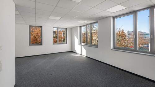 Bürofläche / komplette Etage - 