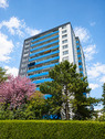 6bed1266-00ec-4ecb-bff6-d0876c5990ab.png - 