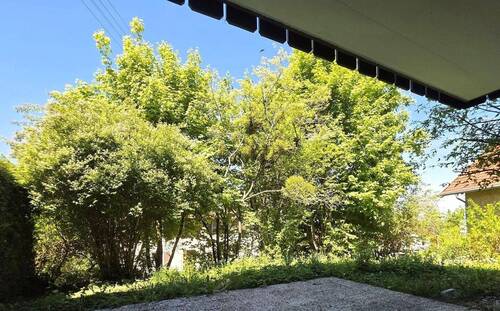 Blick in den eigenen Garten - 