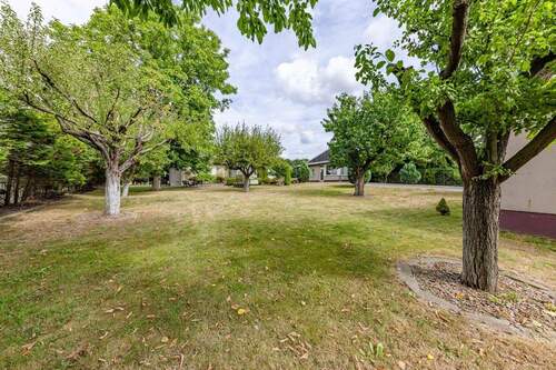 Parkähnlicher Garten - 