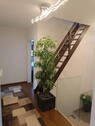 Bild 24 - 