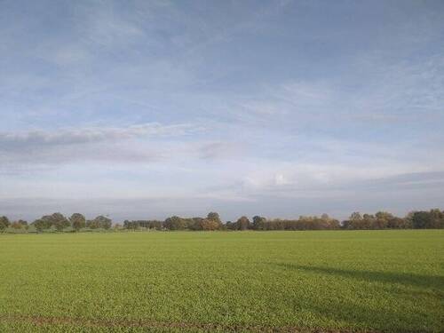 Bild 1 - Grundstück in Fehrbellin