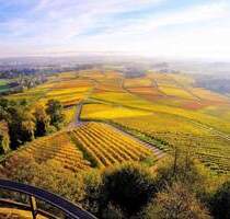 Doppelhaushälfte - Ideal für Ihre Familie! - Leingarten Schluchtern