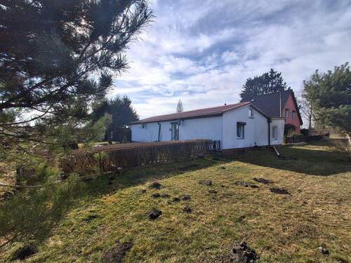 20260313_135154.jpg - 