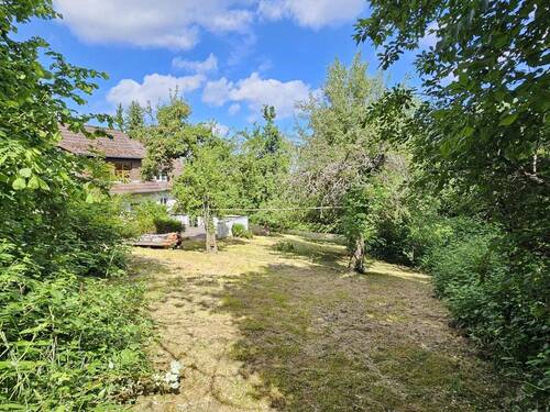 Paradies im Grünen - 