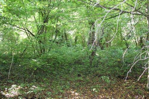 Garten - 7 Zimmer Doppelhaushälfte in München