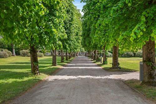 Lindenallee als exklusiver Zugang zum Herrenhaus - 