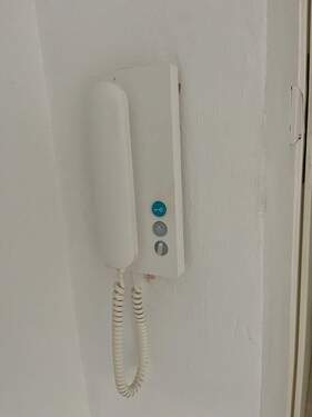IMG_4592(1).jpeg - 