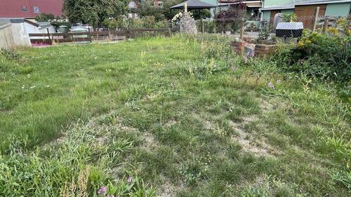 Grundstück - Doppelhaushälfte mit 100,00 m&sup2; in Bad Düben zum Kaufen