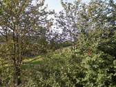 Blick aus Bad EG - 