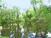 Weiher im Park - 