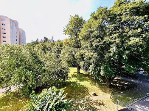 Blick vom Balkon - 